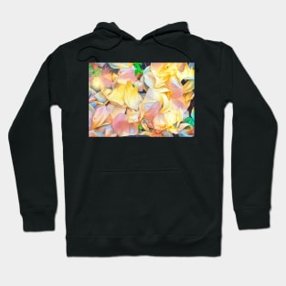 Rose Petals Hoodie